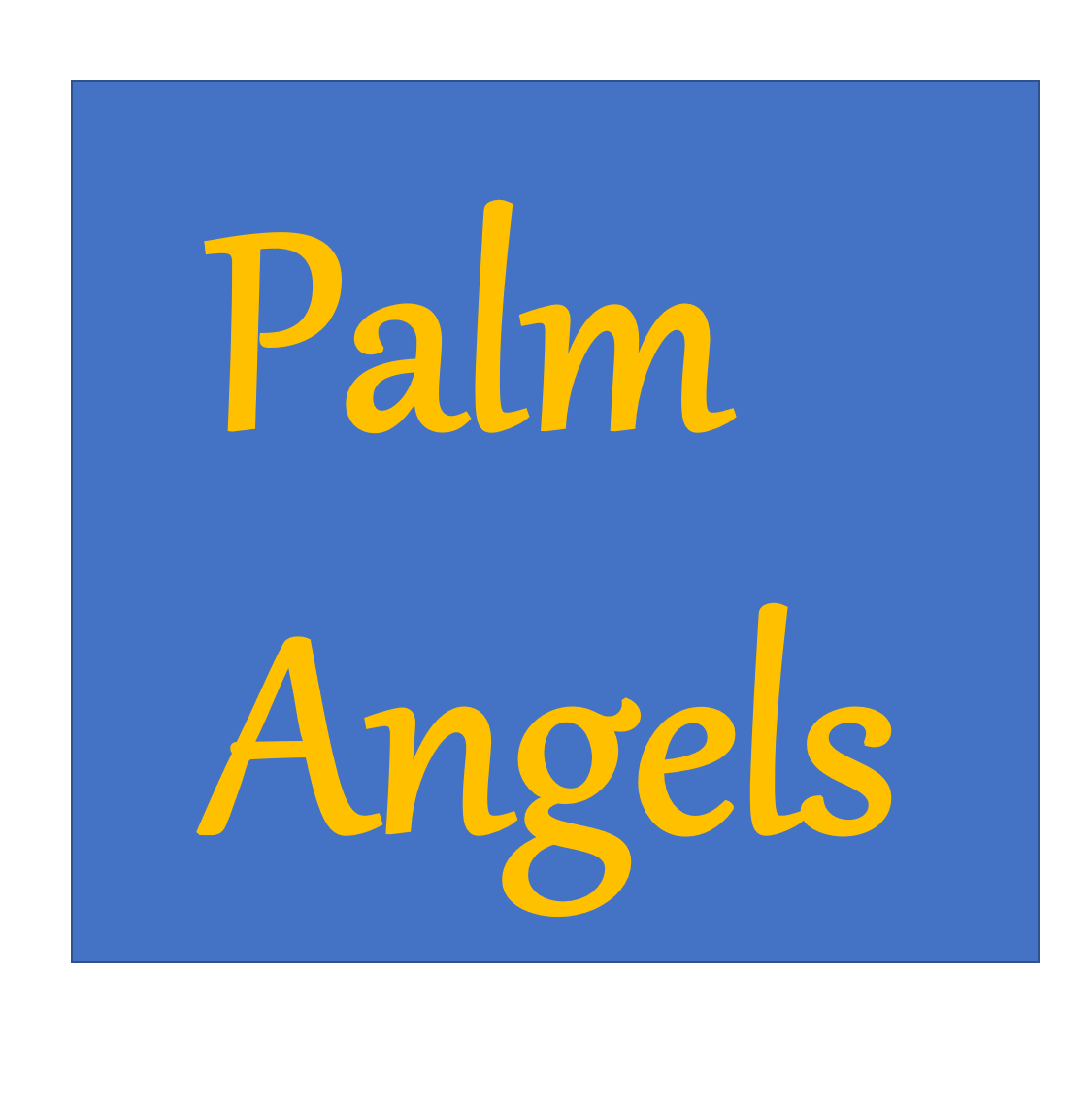 Palm Angels Net Worth